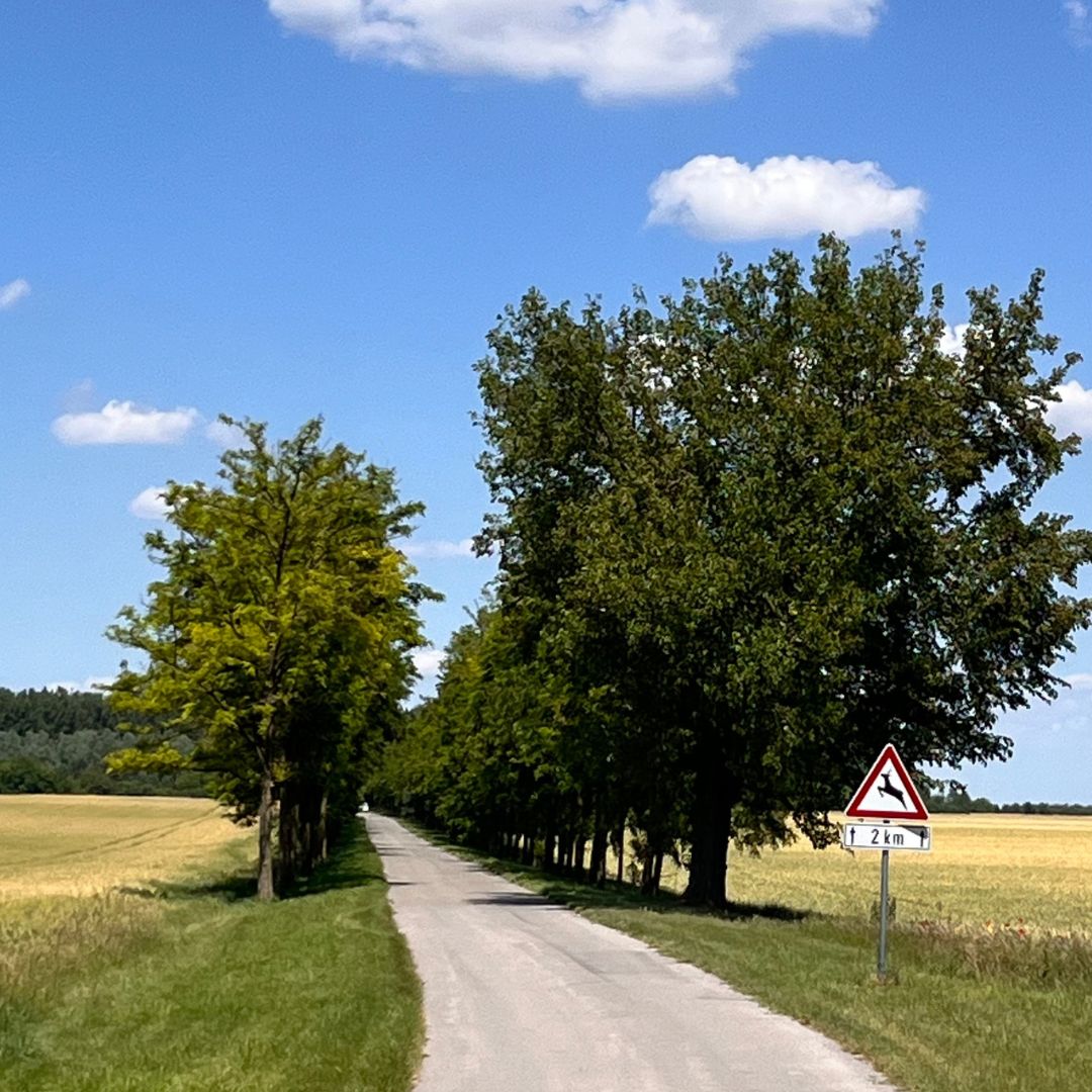 kovilj priroda kovilj priroda